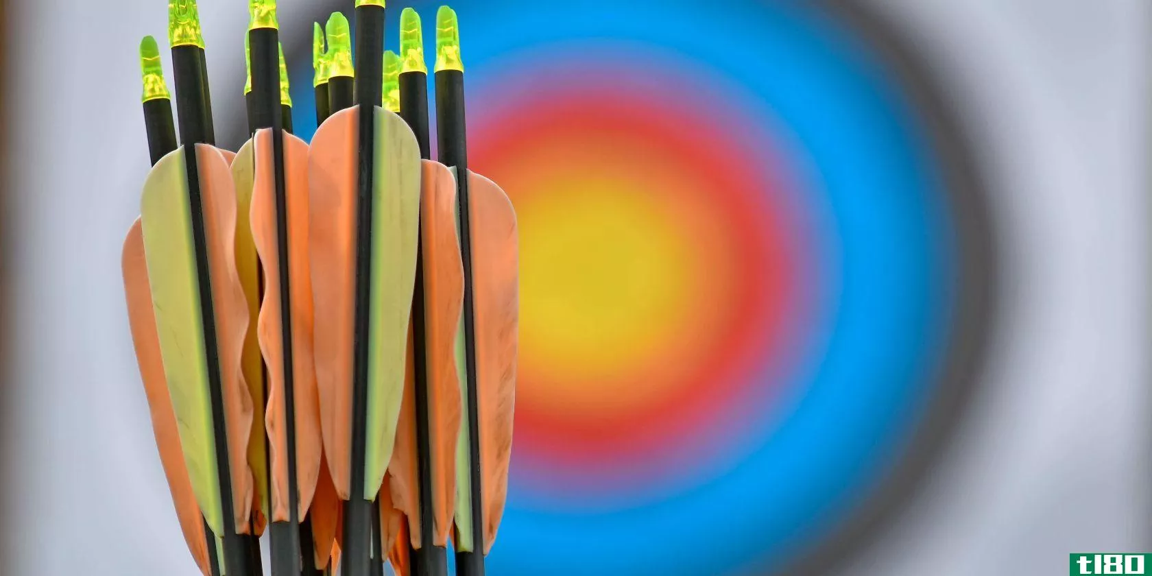 Arrow Fletchings With Target in Background
