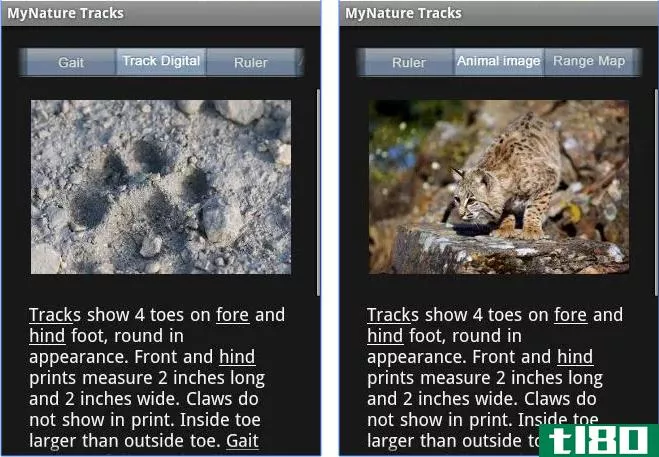 MyNature Animal Tracks