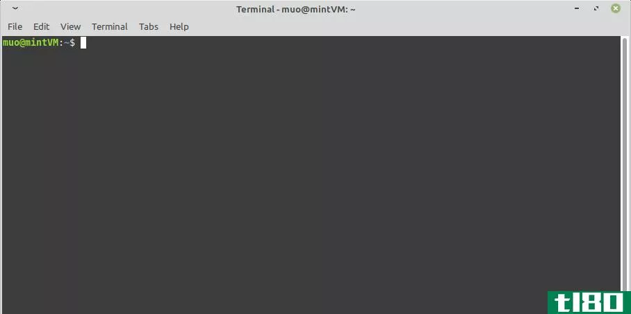 An Open Terminal in Linux Mint