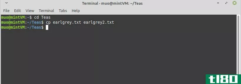 Using Cp Command in Linux Terminal