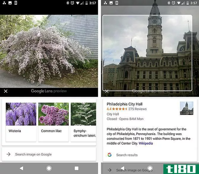 Google Lens Identify Plants and Buildings