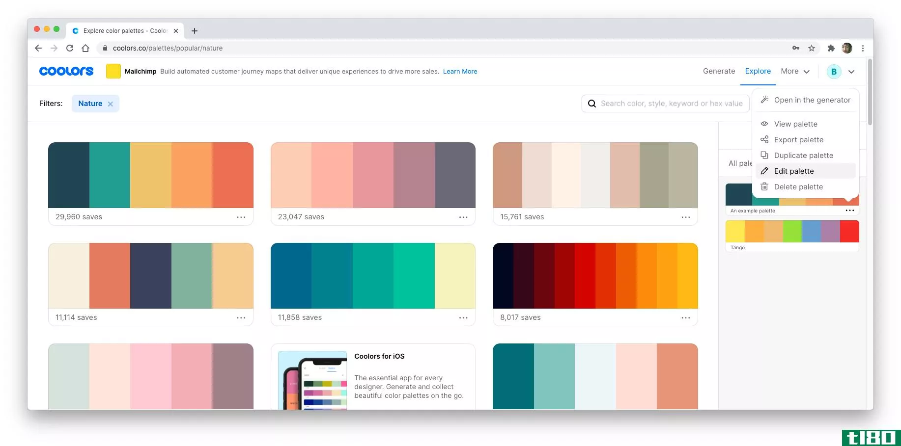 A screenshot showing how to edit a saved palette on Coolors.co