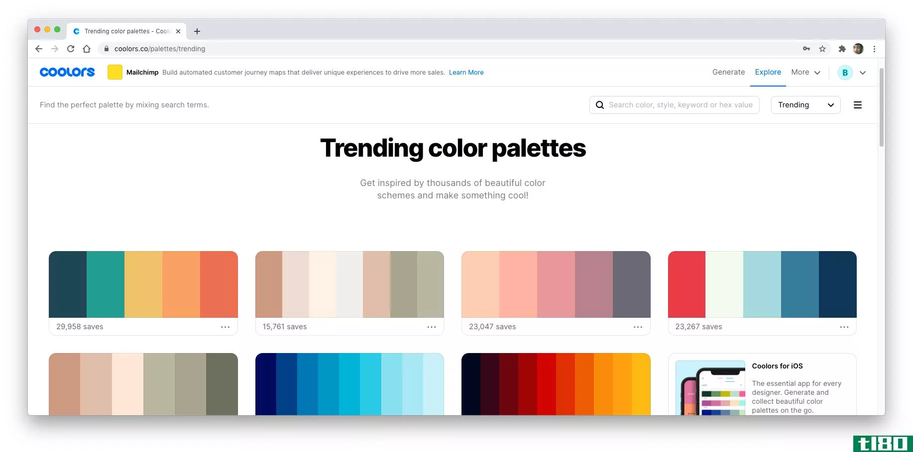 A screenshot showing trending palettes on Coolors.co