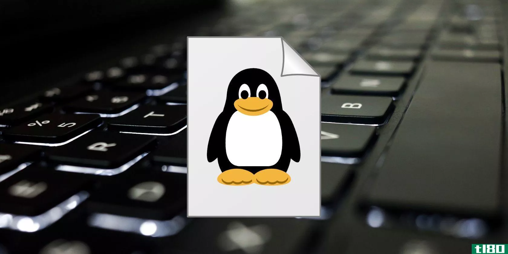 Creating a New File in Linux