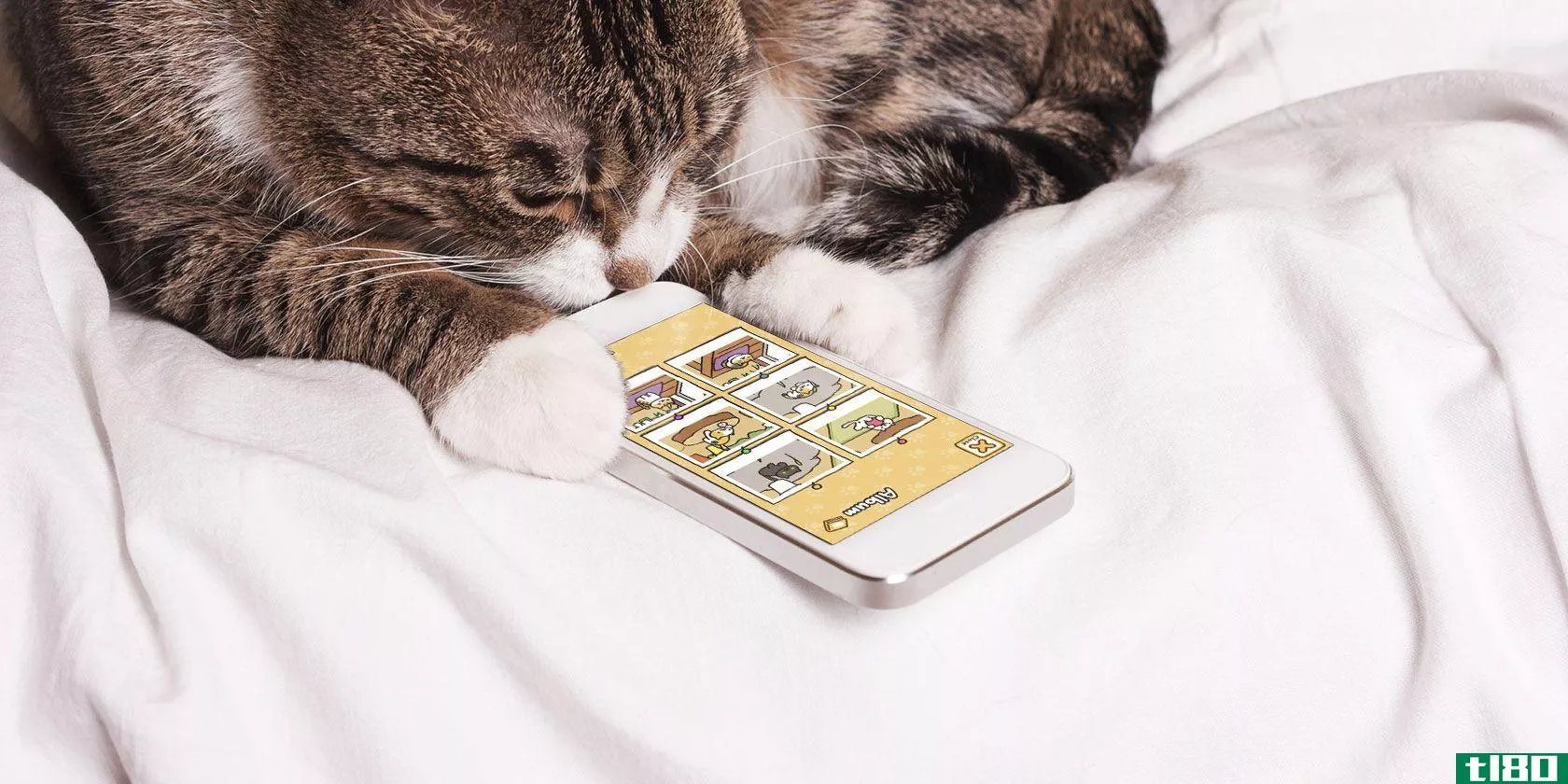 你喜欢猫吗？8款专为爱猫人士设计的智能手机游戏