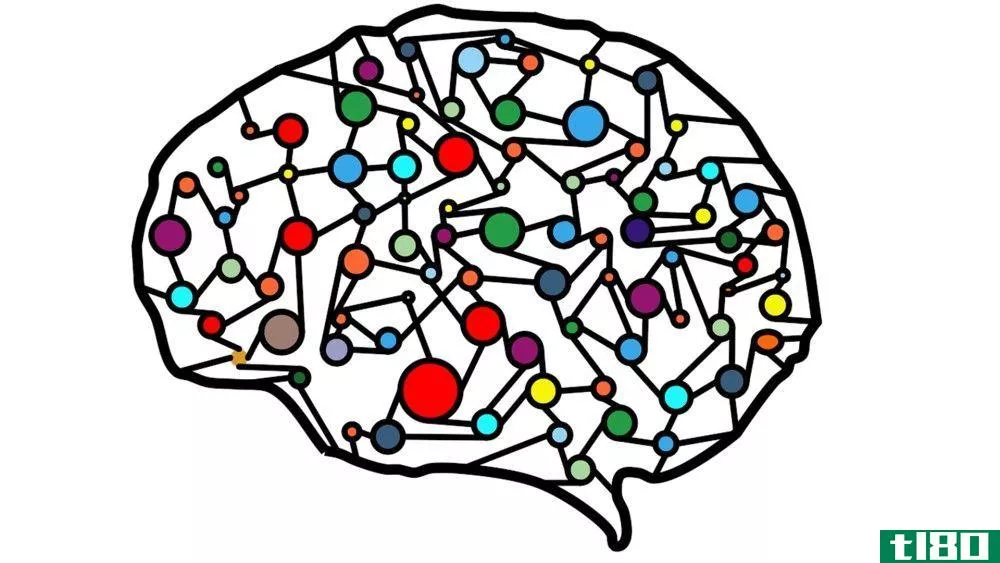Neural Network in Brain