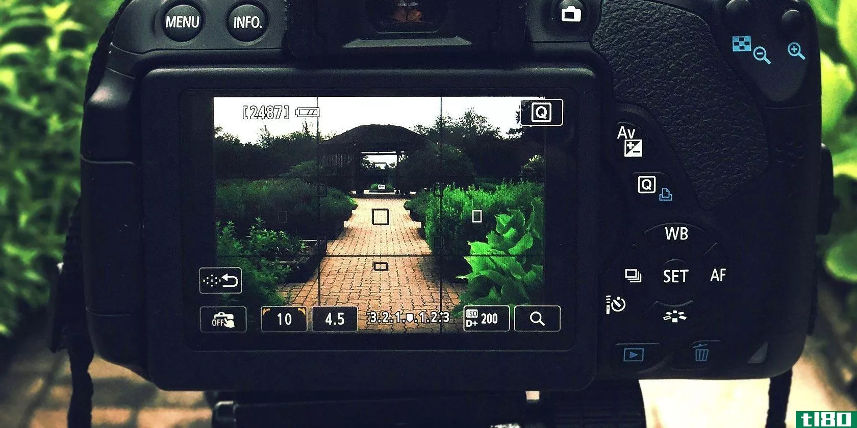 manual-focus-photography