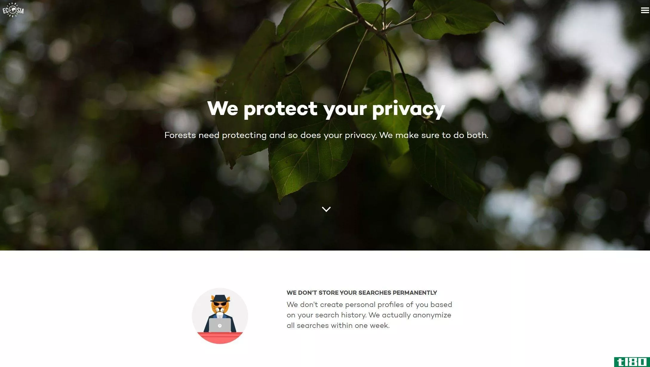 Ecosia browser privacy