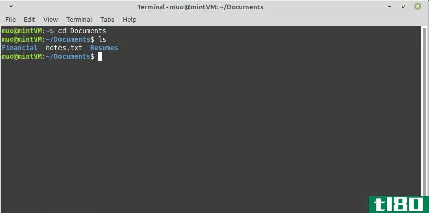 Using the Ls Command in Linux Mint Terminal