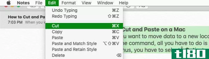Cut option in Edit menu on Mac