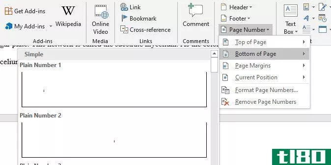 Applying page number to the whole document in Word