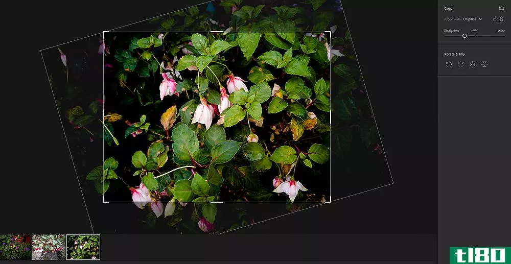 Straighten image in Lightroom