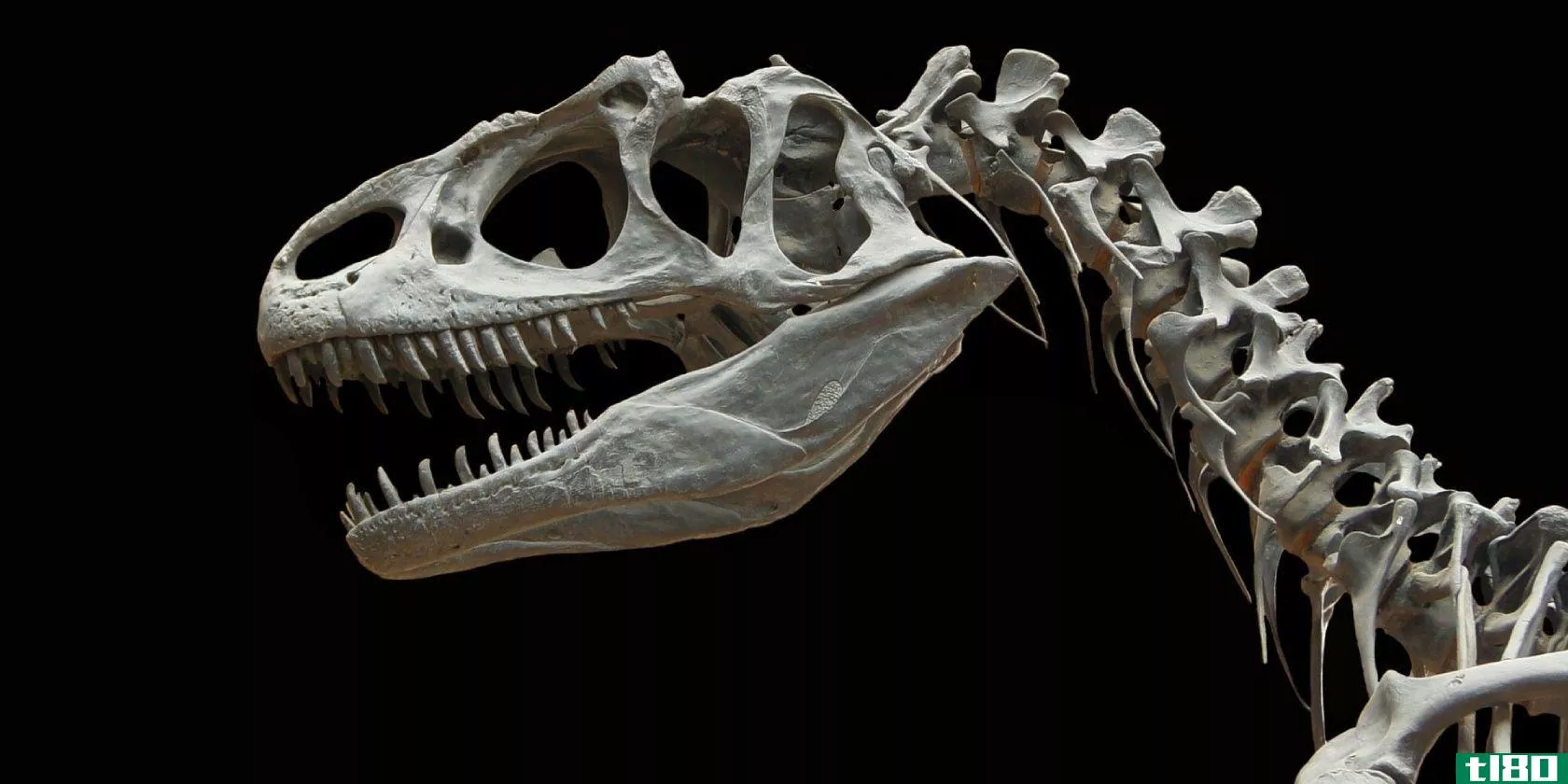 喜欢侏罗纪吗？了解恐龙和自然历史的5种互动方式