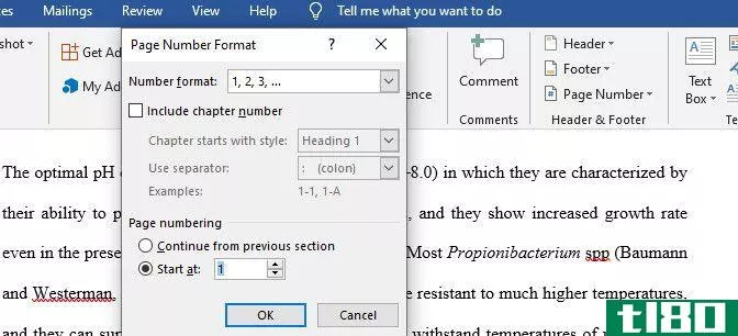 Check the Start at option inside the Format Page Numbers menu in Word