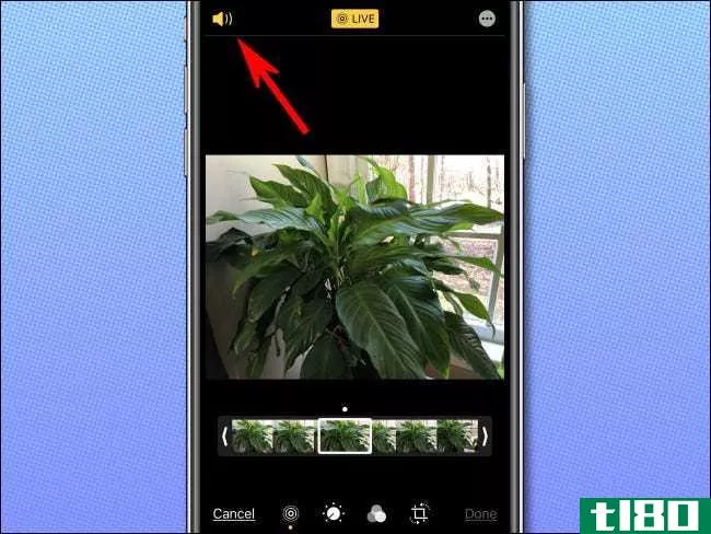 如何从iphone上的实时照片中删除音频