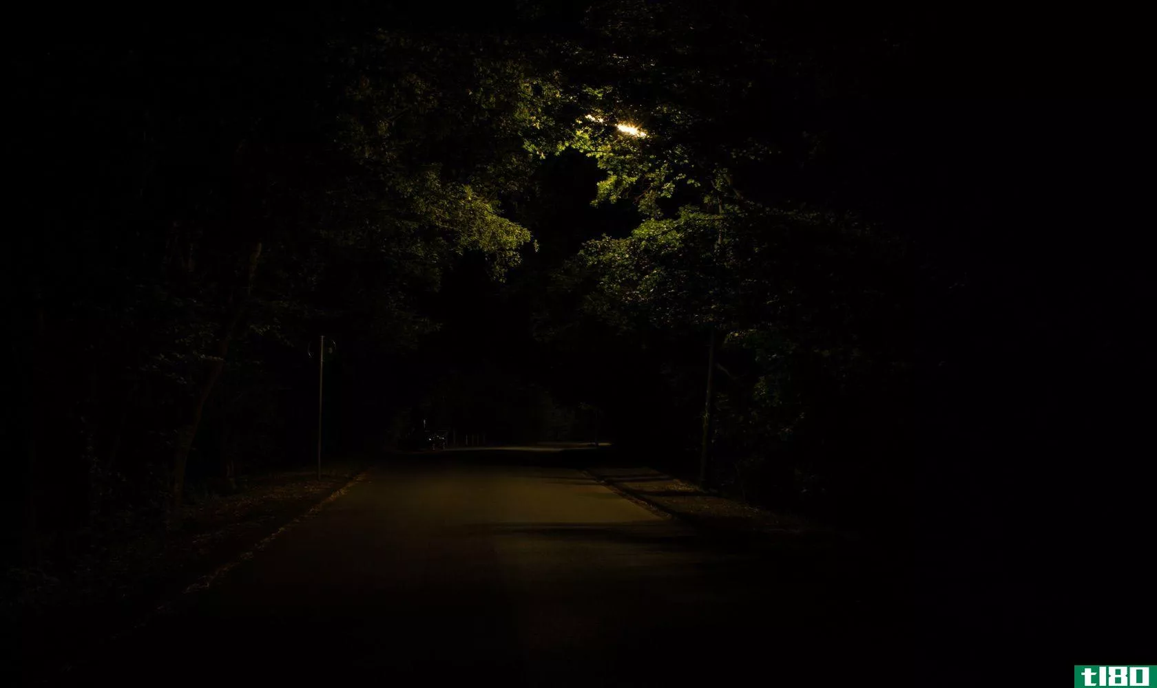 Dark road lined with trees at night