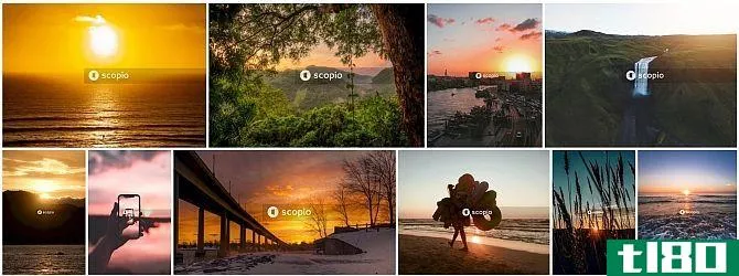 scopio sunsets stocks