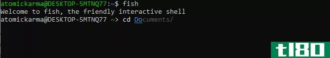 Use the fish shell on Linux 