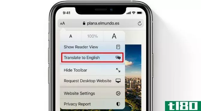 Safari Translate option on iPhone