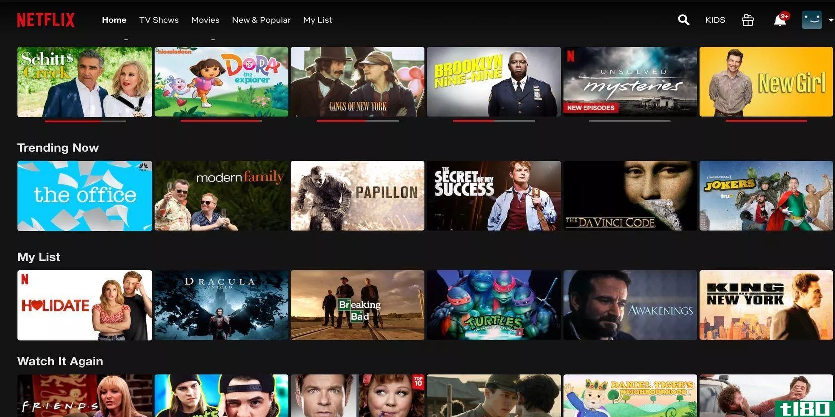 Screenshot of Netflix selection page