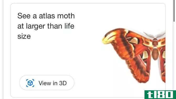 Google AR Search Atlas Moth