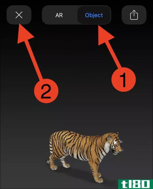 通过这些3d谷歌动物和物体成为虎王