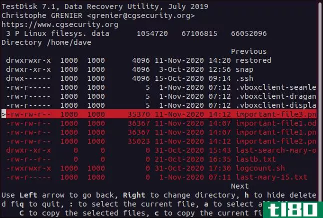 如何用testdisk恢复linux上删除的文件