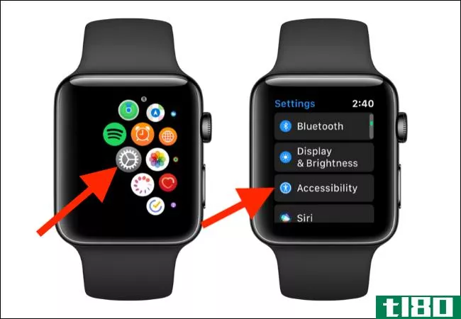 如何在apple watch上启用和使用缩放