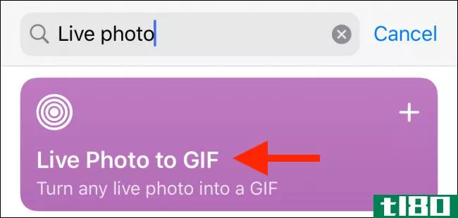 如何在iphone上将实时照片转换为视频或GIF