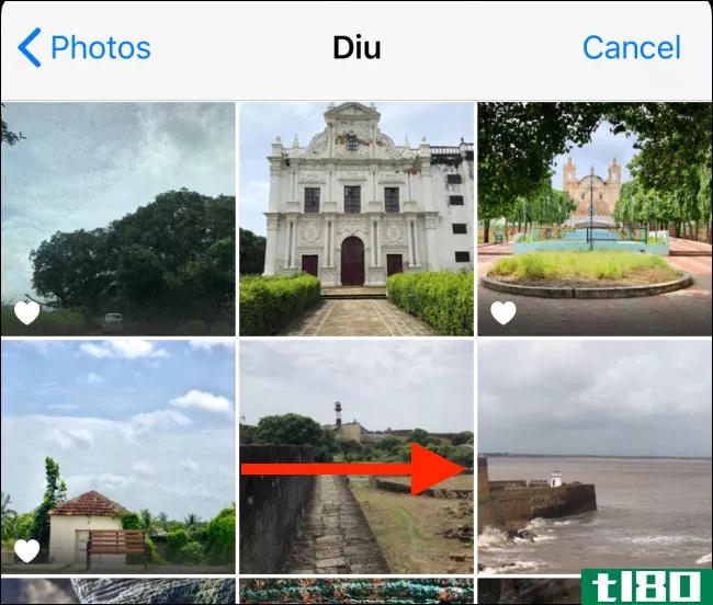 如何在iphone上将实时照片转换为视频或GIF