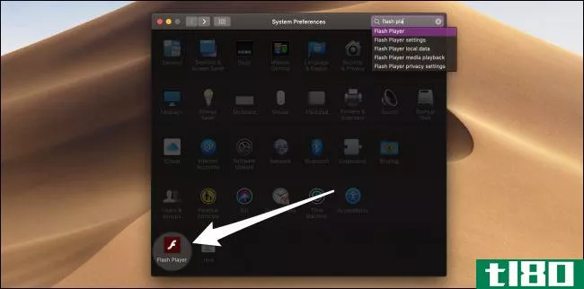 如何在mac上安装和更新flash