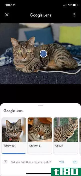 如何在iphone上使用谷歌镜头