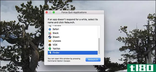 如何在mac上的应用程序没有响应时强制退出