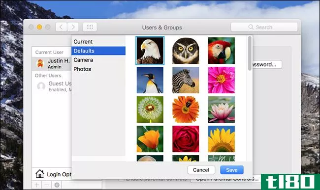 如何在mac上更改用户配置文件图片