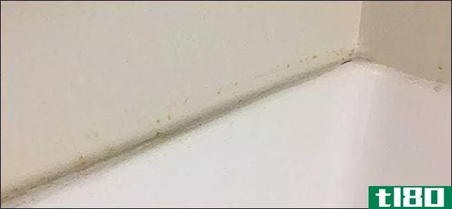 我浴室墙上的棕色斑点是什么？