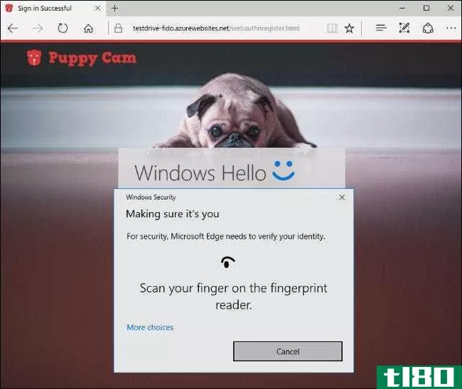 如何使用指纹或其他设备使用windows hello登录到pc