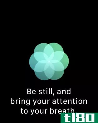 使用apple watch的breathe应用程序，让你的一天更加专注