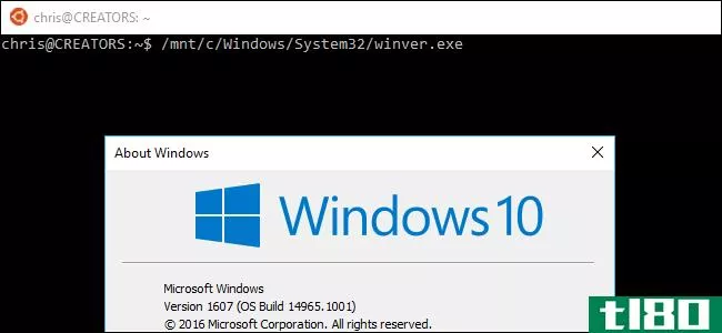 如何从windows10的bashshell运行windows程序
