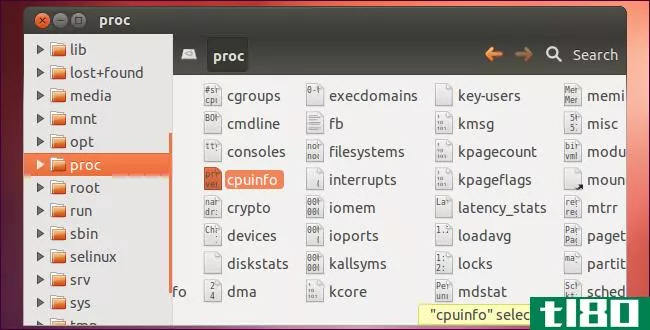 在linux中，“一切都是文件”是什么意思？