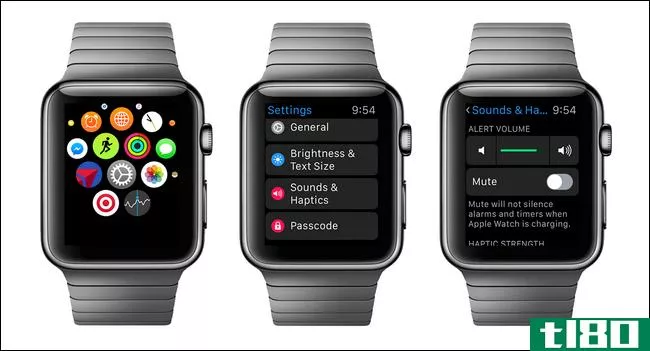 如何调整apple watch的音量