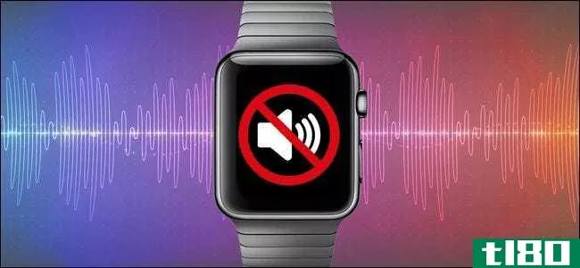 如何调整apple watch的音量