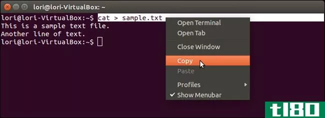 如何将文本复制粘贴到linux终端