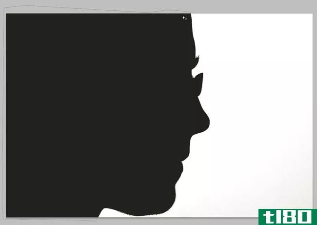 愚蠢的photoshop技巧：创造一个视觉错觉双肖像