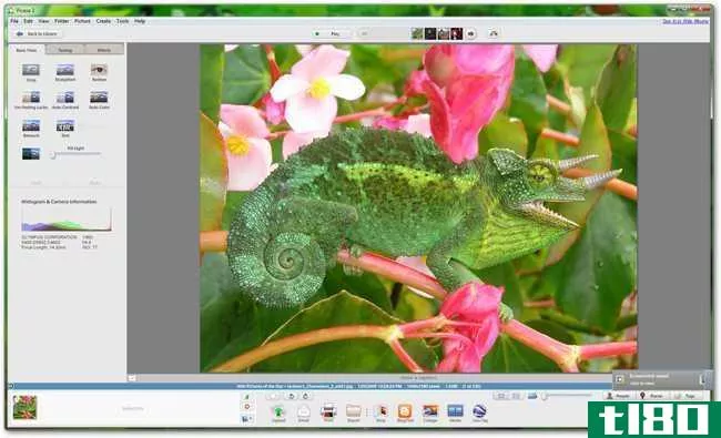 如何使用免费软件创建高质量的照片打印