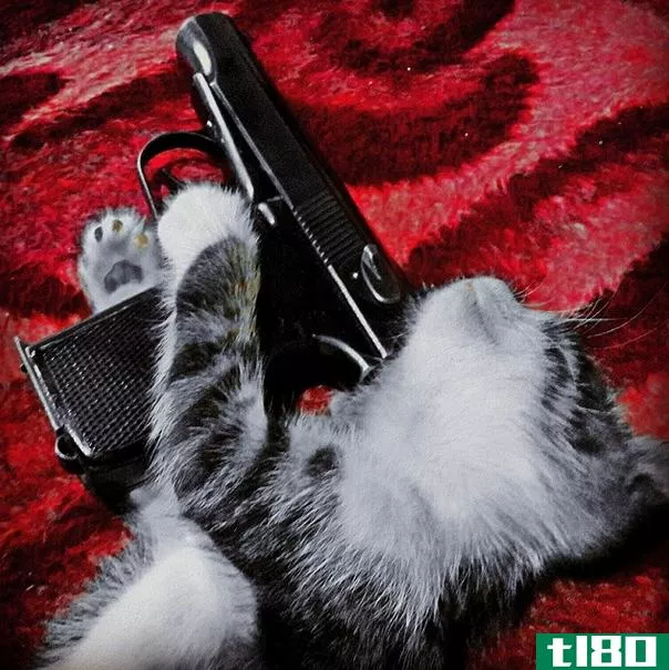 伊拉克和叙利亚的激进分子在instagram上共享小猫和枪