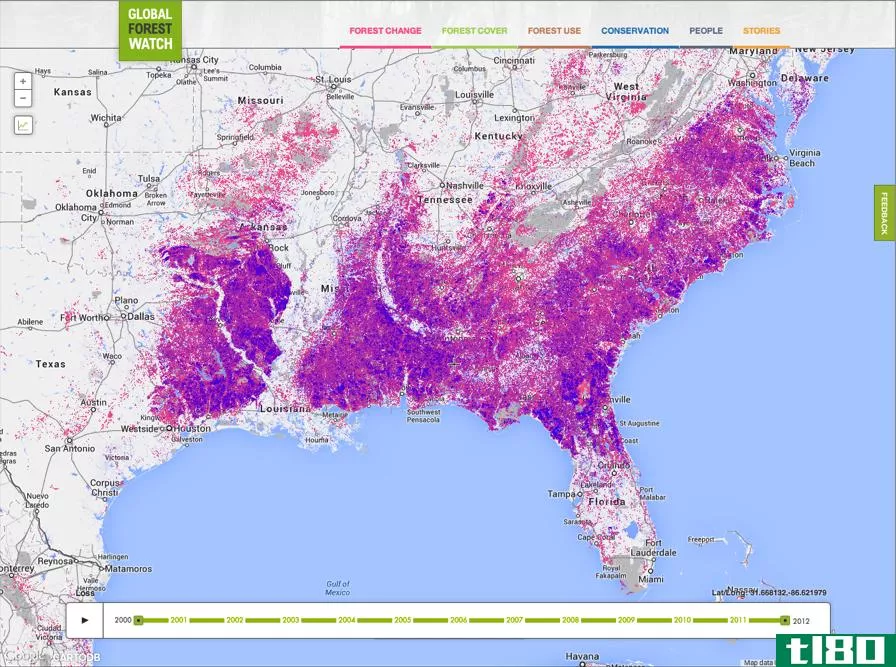 谷歌地图将实时观察地球上所有的森林