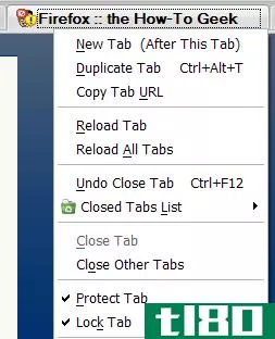 在firefox中何时使用protect tab和lock tab
