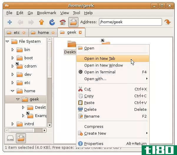 在ubuntu中安装选项卡式文件管理器