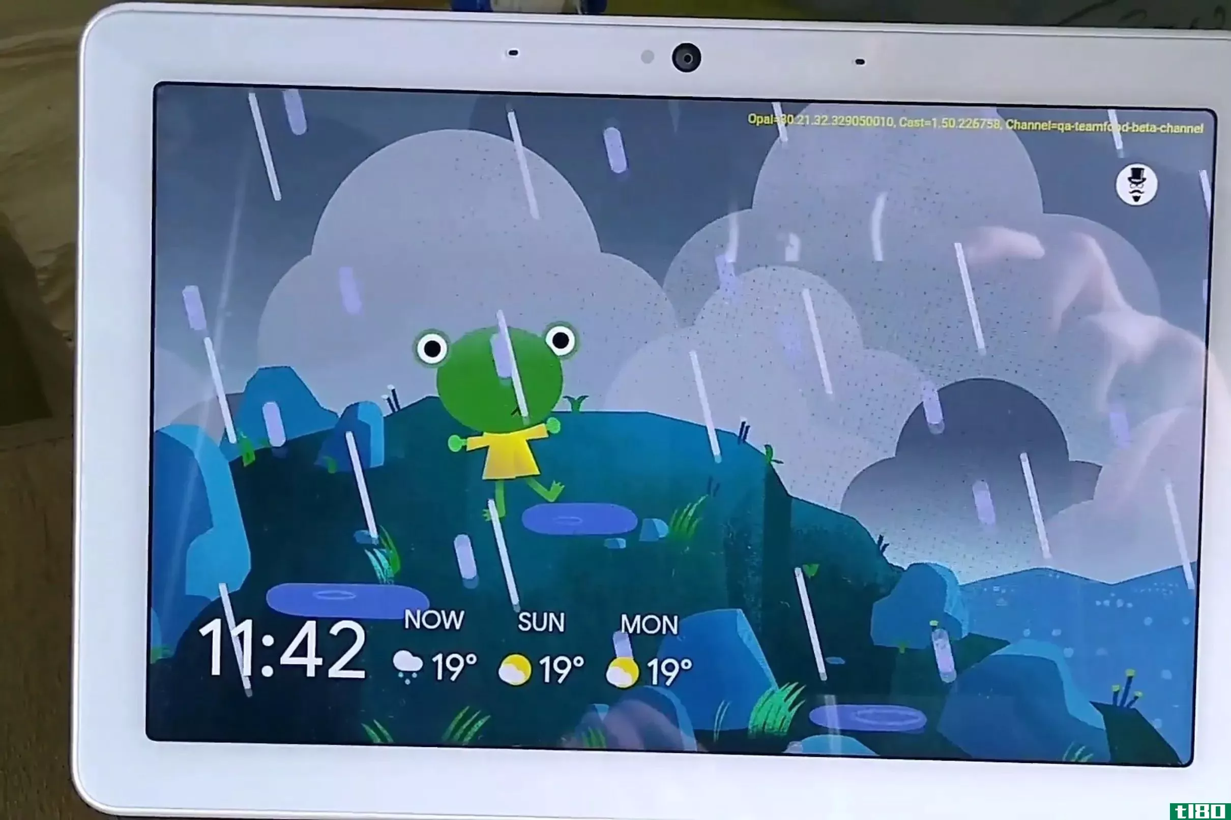 谷歌的天气青蛙出现在智能显示器上