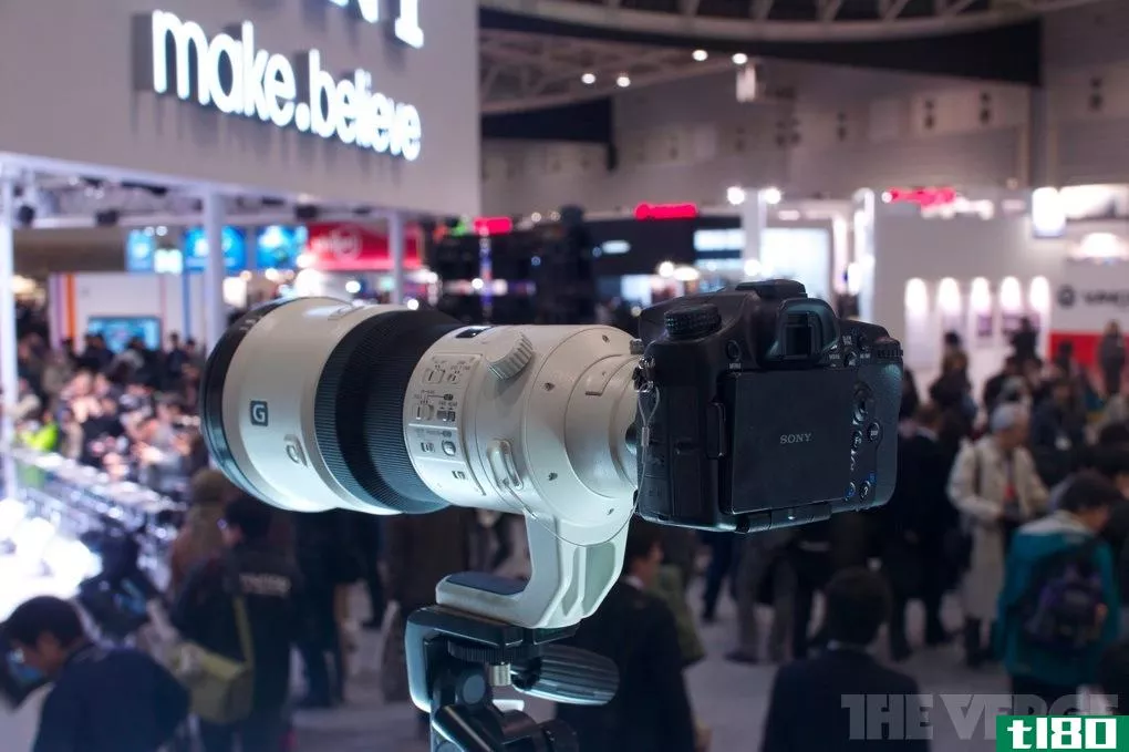 索尼500mm f/4 g ssm镜头实战（视频）